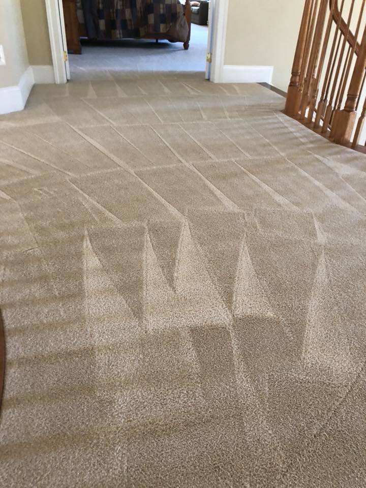 Beige carpet with fresh vacuum groom lines leading down a hallway into a bedroom