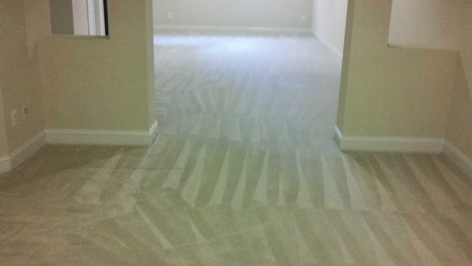 Large open room with wall-to-wall carpet freshly deep cleaned