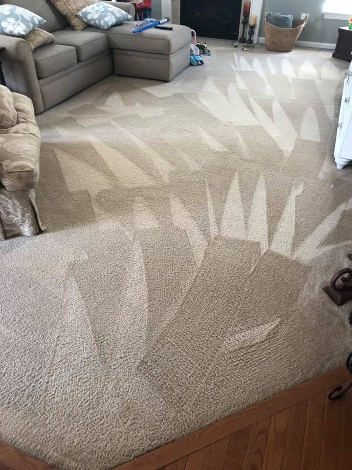 Living-room carpet freshly steam cleaned with even groom lines, sectional sofa pulled aside